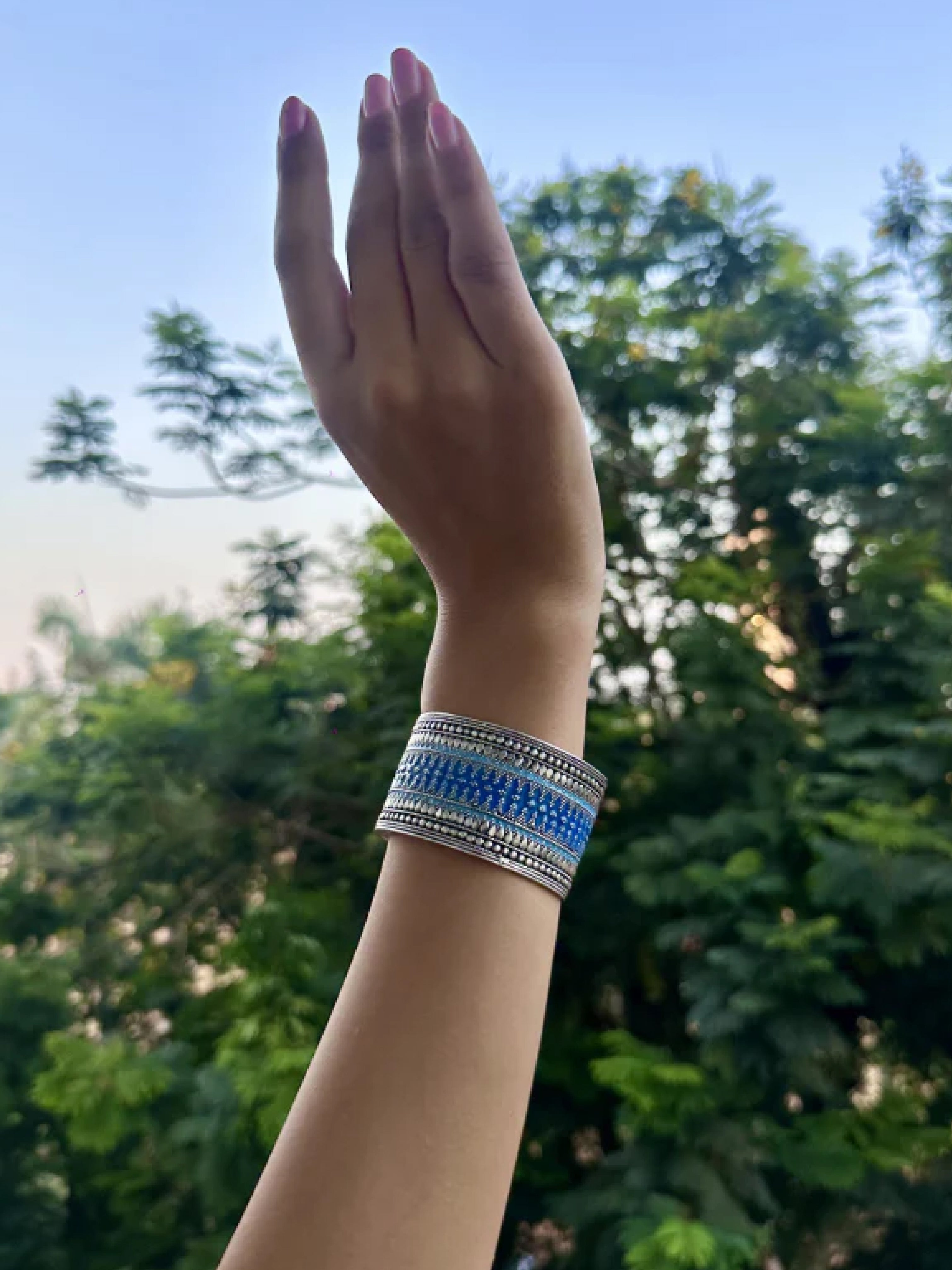 SK BLUE MEENA 0019