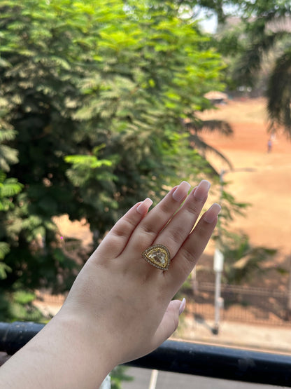 SR POL TRI 0010